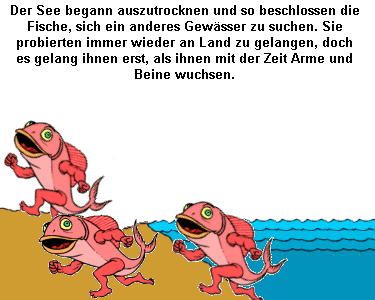 bilder/land4