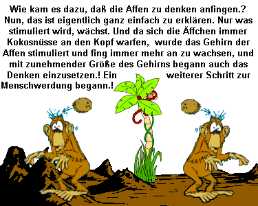 bilder/land8